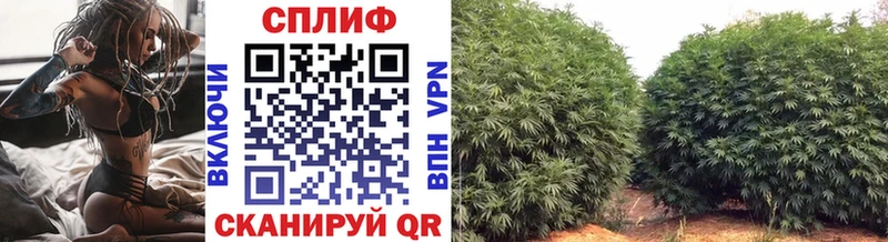 Как найти закладки Болотное Каннабис  Cocaine  Меф мяу мяу 