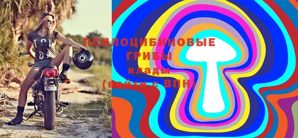 марки lsd Переславль-Залесский