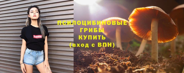 марки lsd Переславль-Залесский
